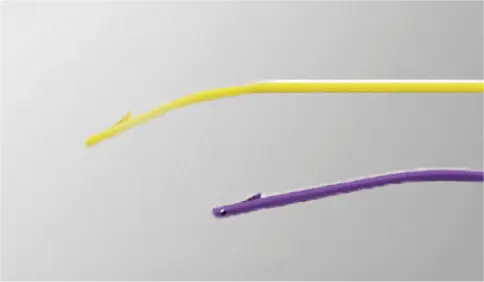 Prótese Plástica Biliar