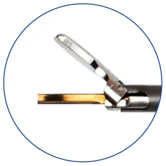 Pinça Atrium - Scitech