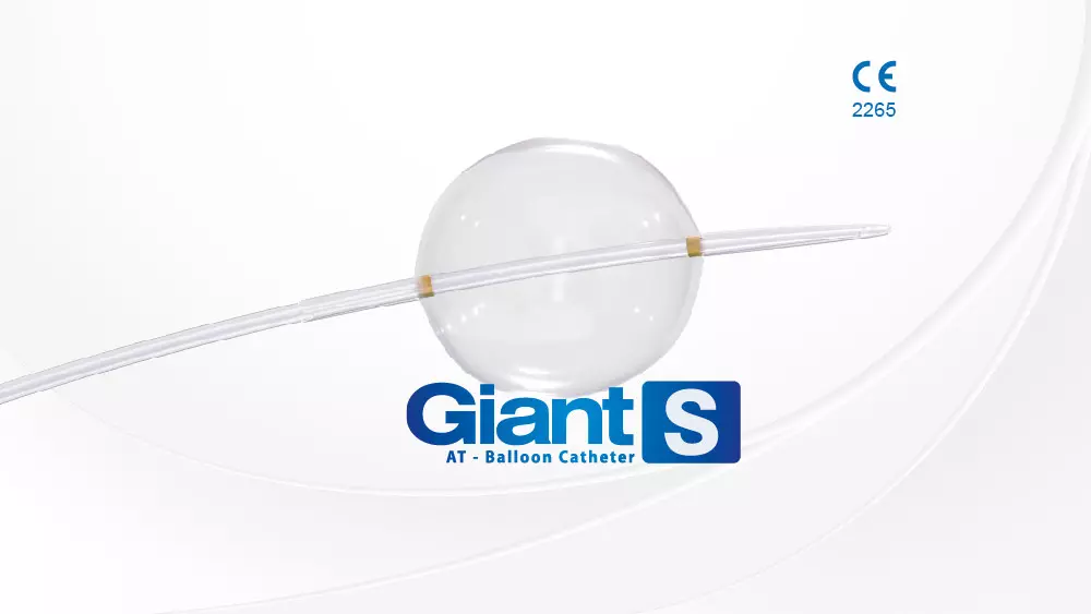 Giant S - Scitech