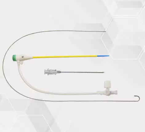 Introdutor - Scitech