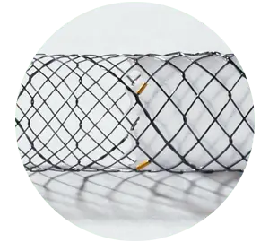 BPN – Parcial coberto - Scitech