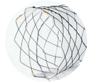 CCBA - Total coberto - Hanaro Stent