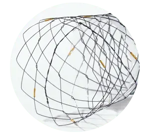 NDCL - Parcial coberto - Hanaro Stent