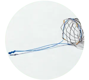 SHCL – Total coberto com laço