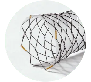 SHCL – Total coberto com laço