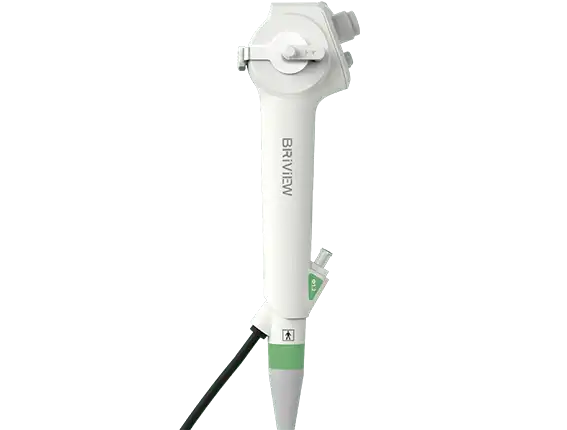 New Briview - Scitech