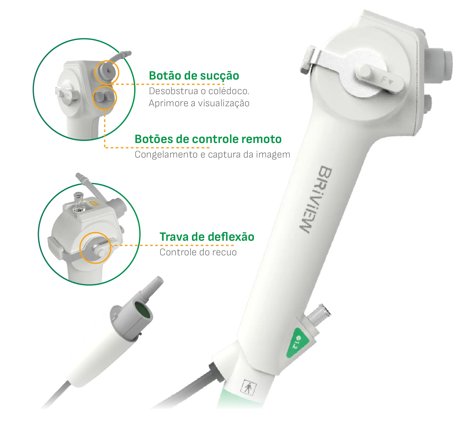 New Briview - Scitech