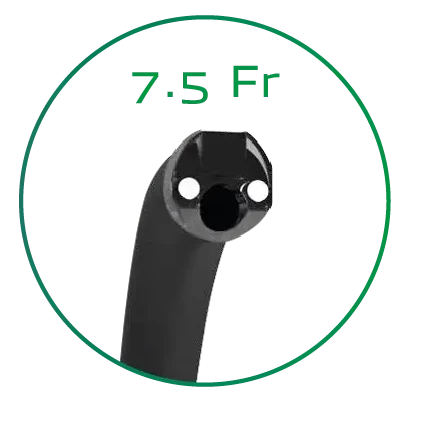 New Briview - Scitech