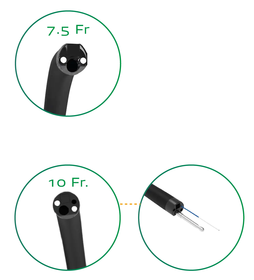 New Briview - Scitech