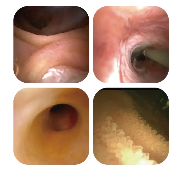 New Briview - Scitech