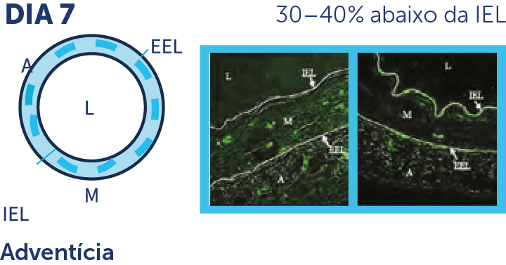 MagicTouch SCB - Scitech