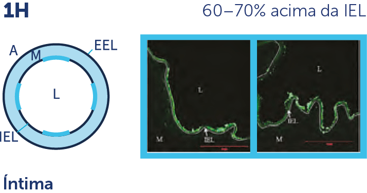 MagicTouch SCB - Scitech