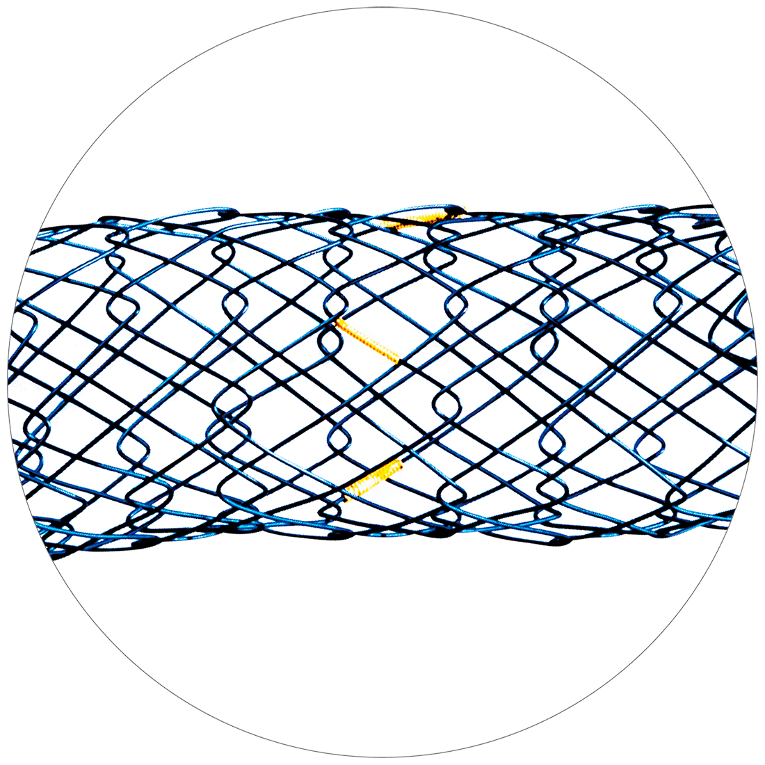BNA Vascular - Scitech