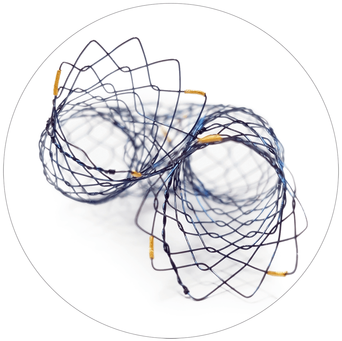 BNA Vascular - Scitech